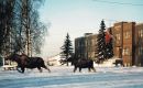 Alaska District Thumbnail